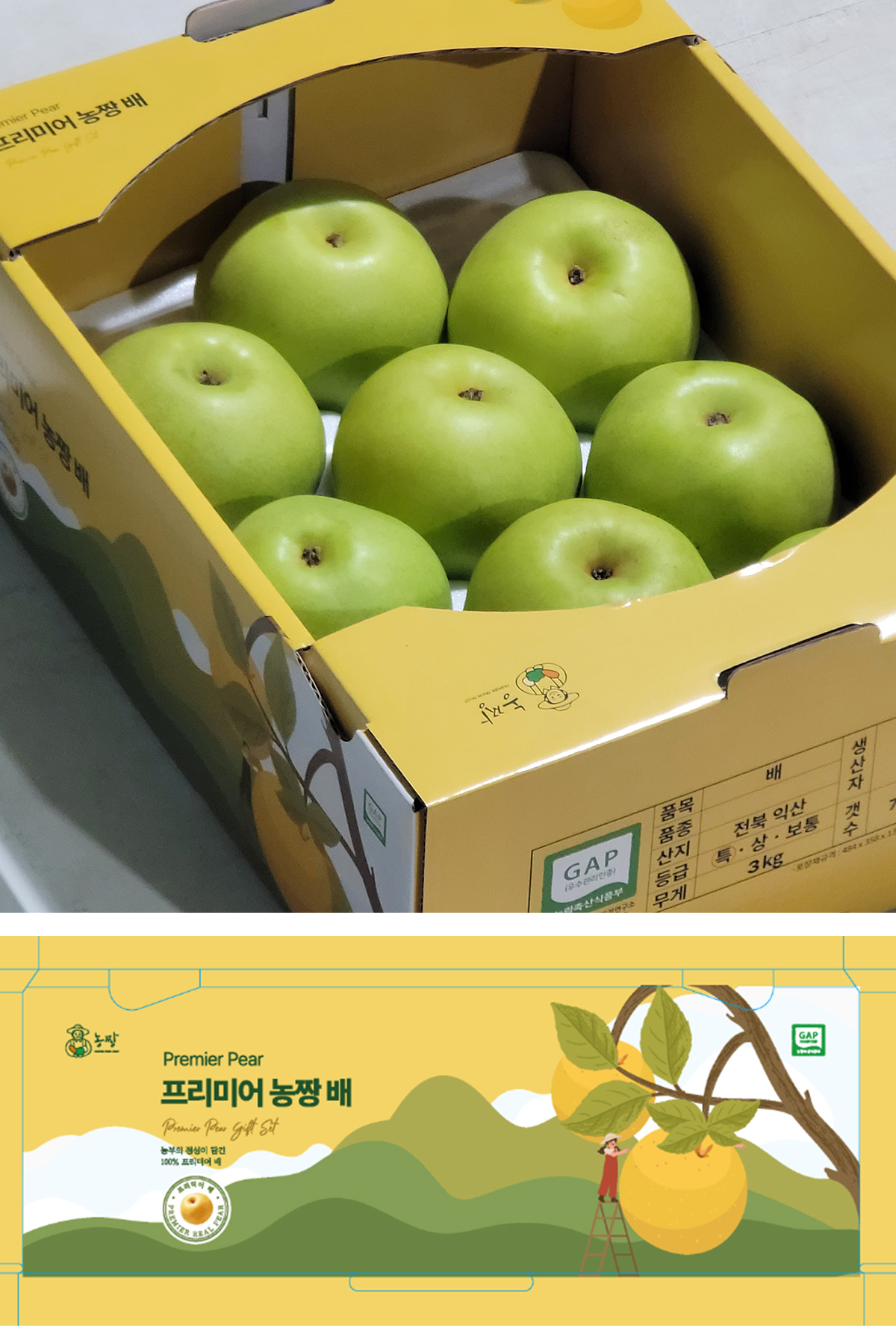 그린시스 3kg 1200.jpg